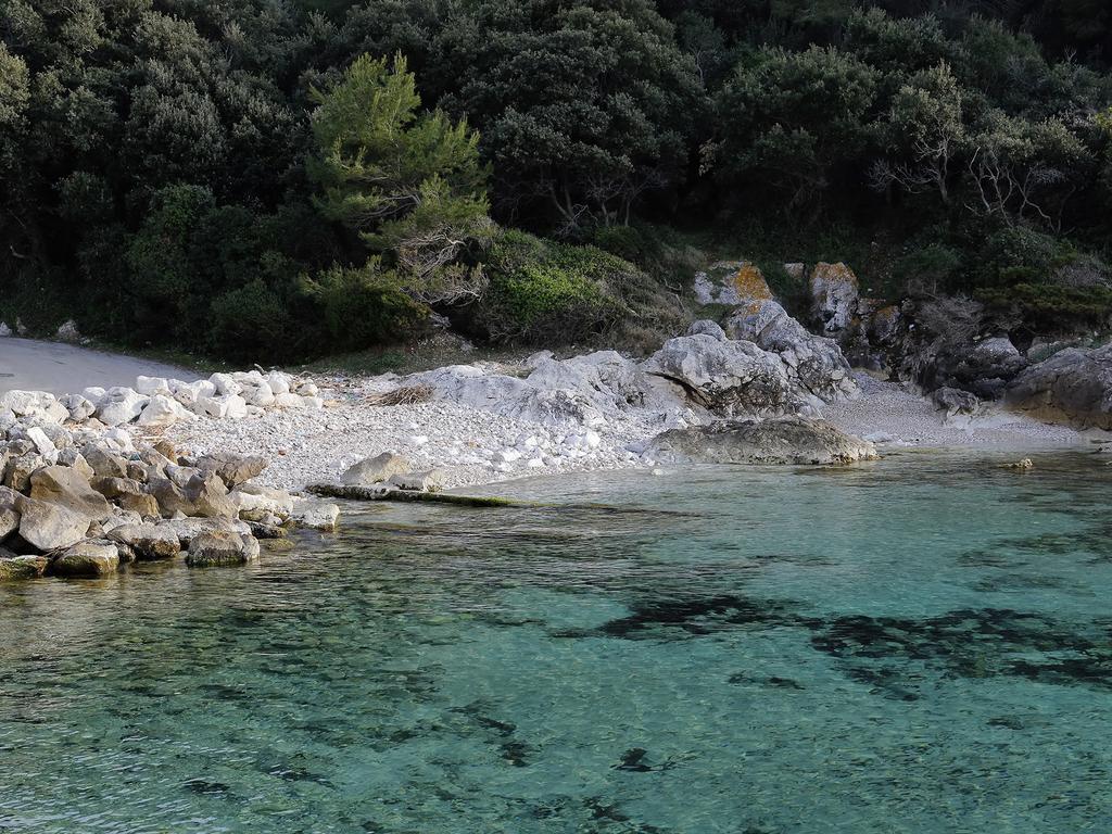 Apartment Cacini Dvori Lastovo Rum bild