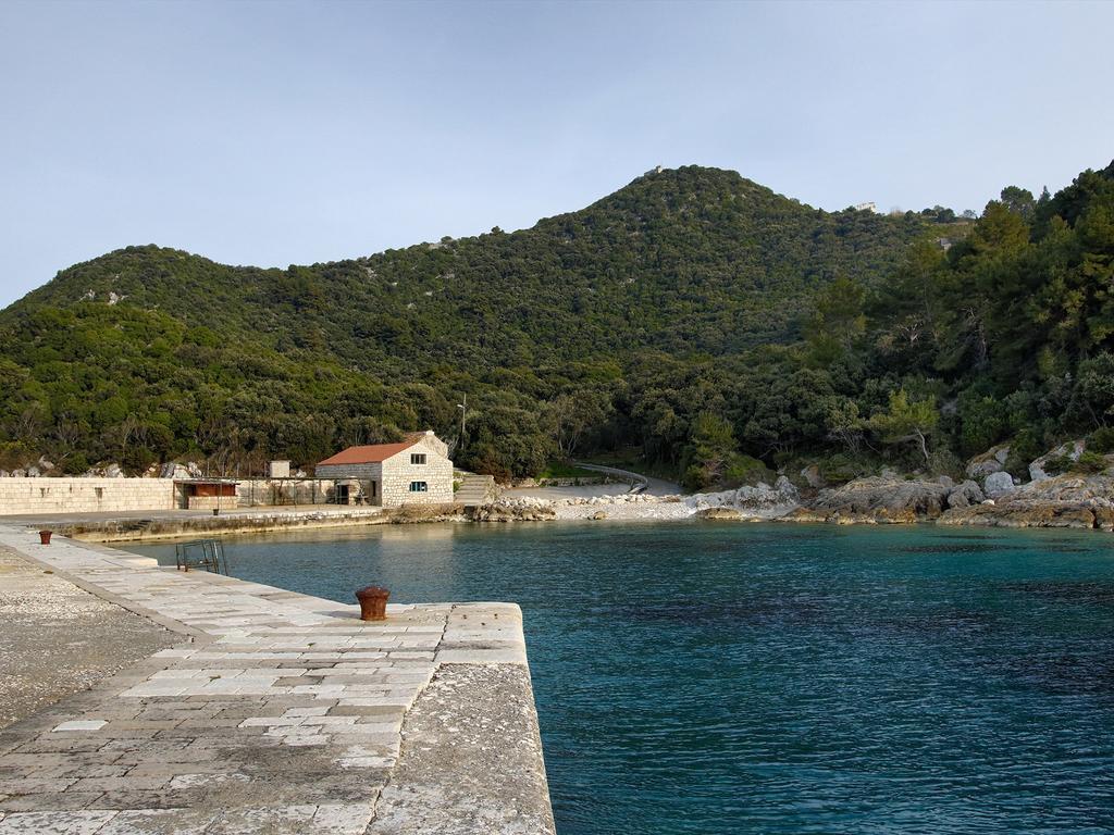 Apartment Cacini Dvori Lastovo Rum bild